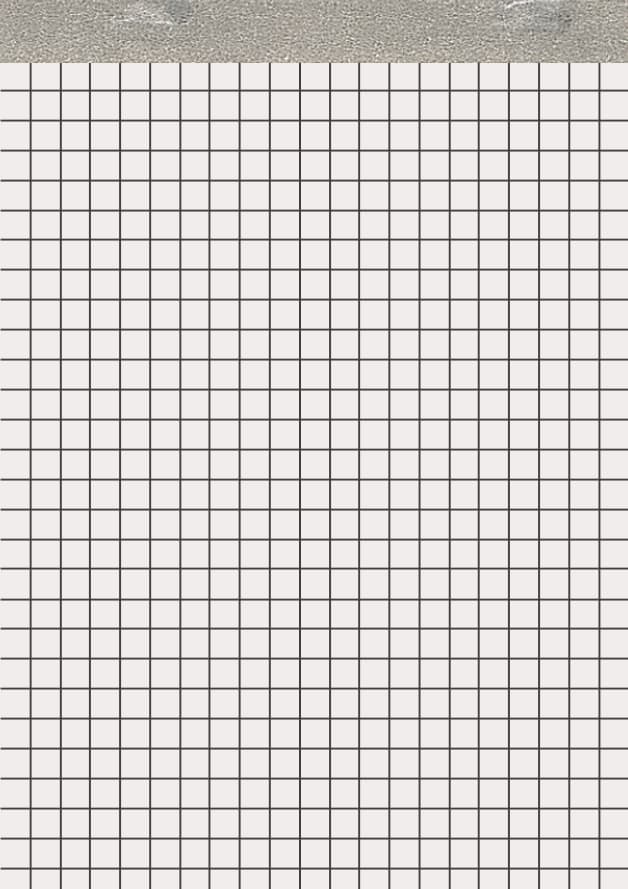 Conquerant Sept Notizblock, (B)148 X (H)210 Mm