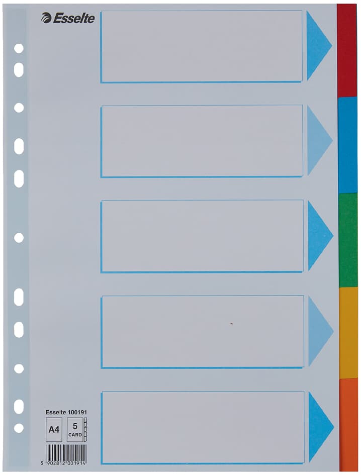 Esselte Karton-Register, Blanko, A4, 5-Teilig, Mehrfarbig