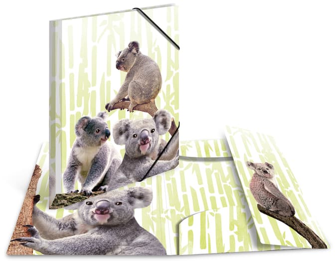Herma Eckspannermappe Exotische Tiere, A4, Koalafamilie