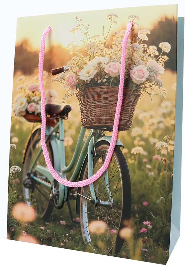 Susy Card Geschenktüte , Bicycle,