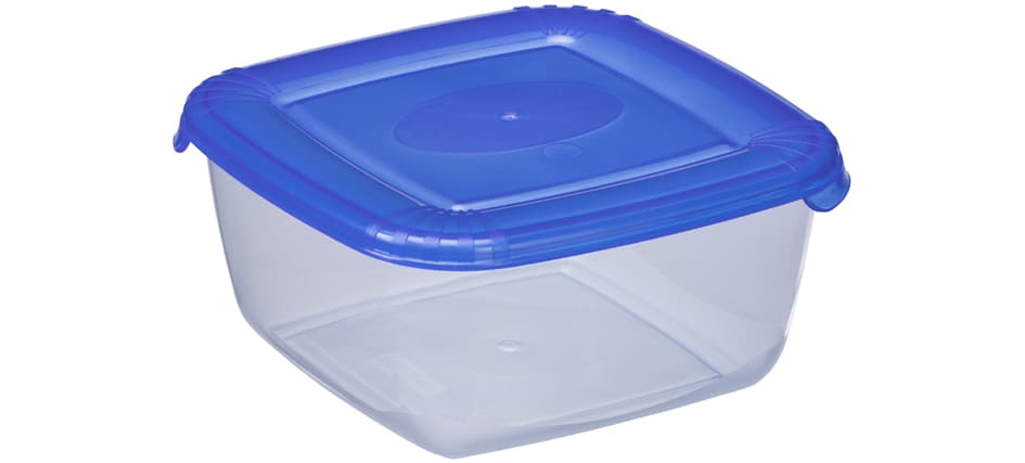 Plast Team Gefrierdose Polar, 0,46 Liter, Blau, Quadratisch