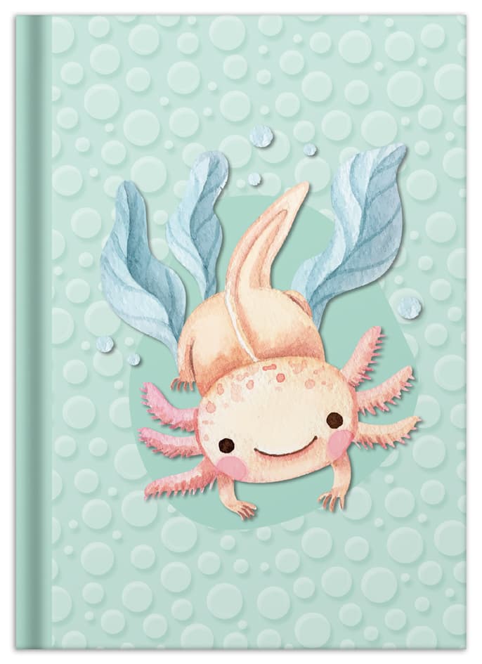 Rnk Verlag Notizbuch , Axolotl, , Din A5, 96 Blatt, Kariert