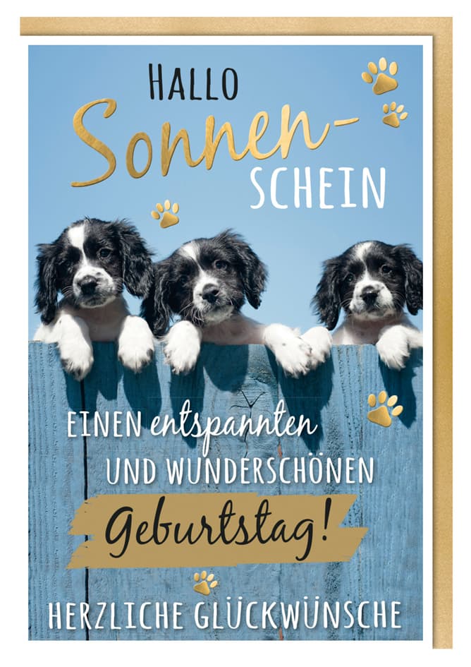 Susy Card Geburtstagskarte Humor , Mischlingshunde,
