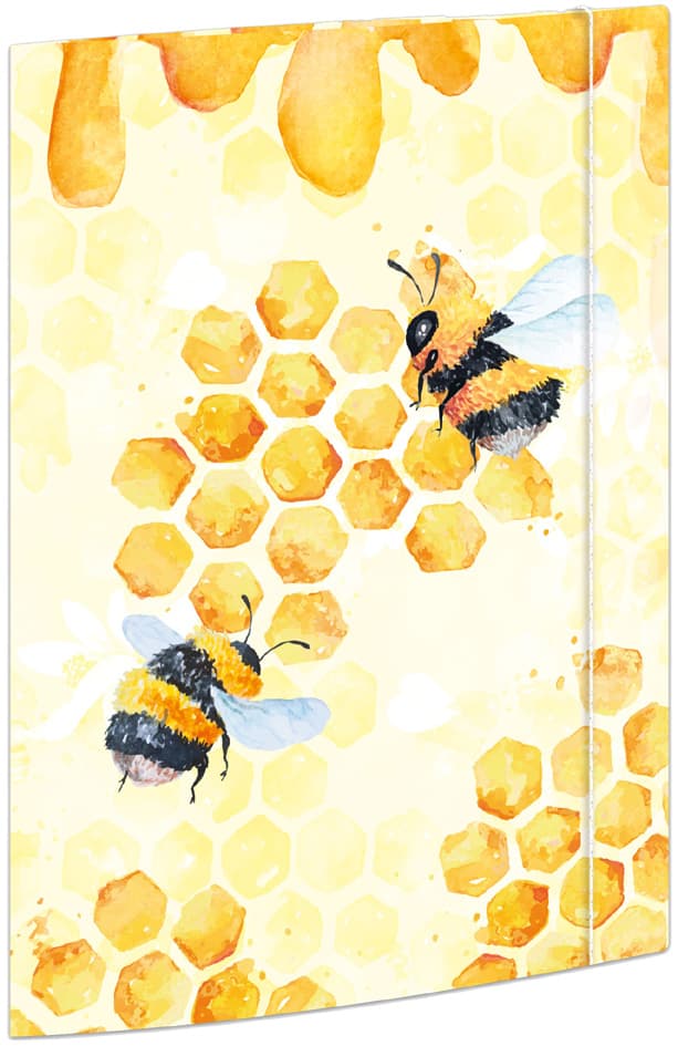 Rnk Verlag Zeichnungsmappe , Honey, , Karton, Din A4
