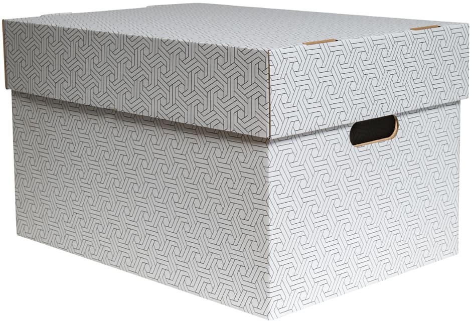 Smartboxpro Aufbewahrungsbox, Groß, Weiß/Grau