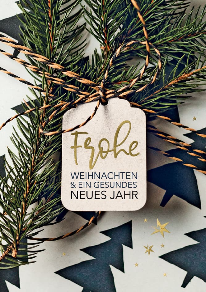 Cactus Weihnachtskarte , Zweige,