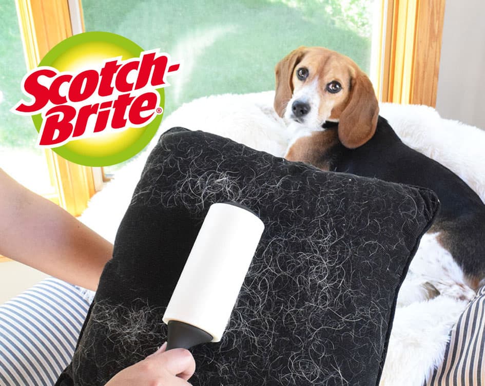 Scotch-Brite Fusselroller Everyday Clean, 40 Blatt Promotion