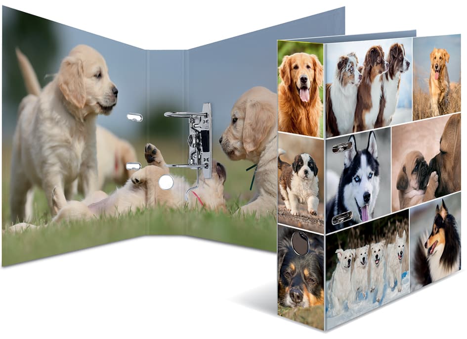 Herma Motivordner , Animals, , Din A4, Hunde