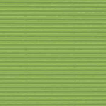 Folia Bastelwellkarton, (B)500 X (H)700 Mm, Grasgrün