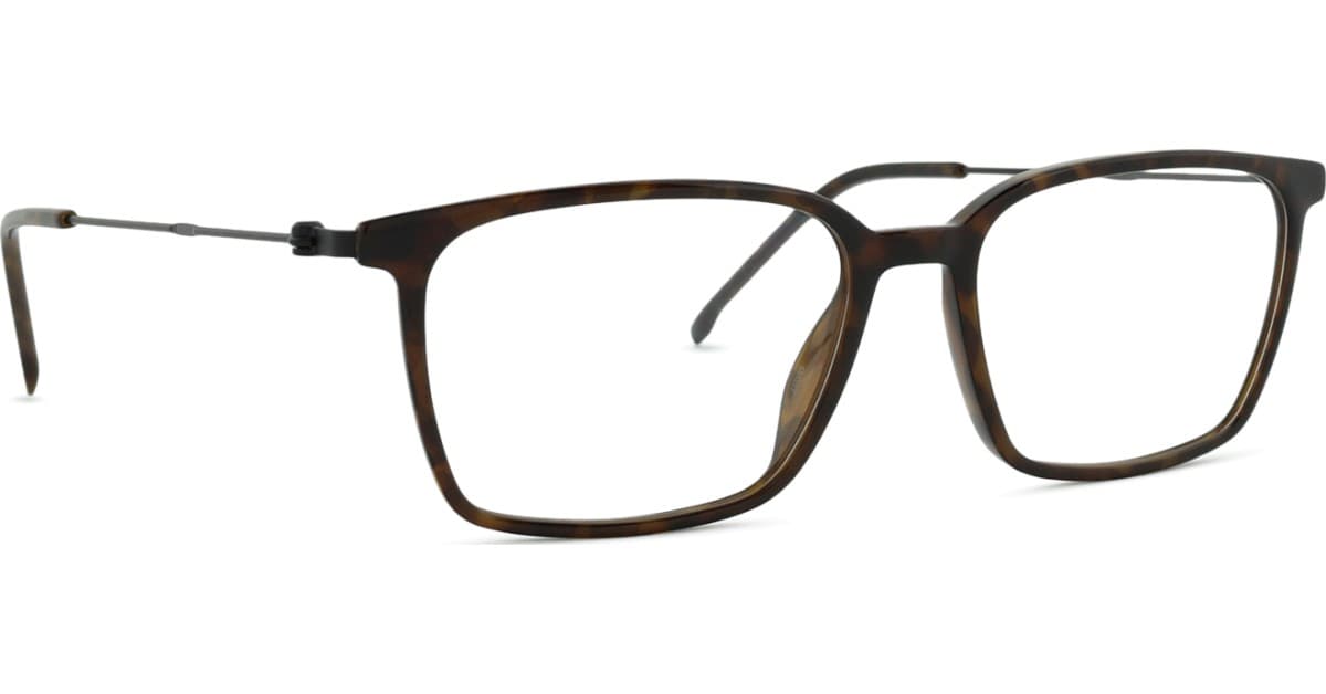 Hugo Boss 1704 581 17 55