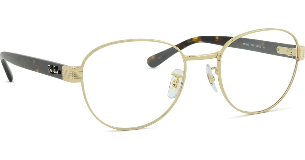Ray-Ban 0rx6543 2500