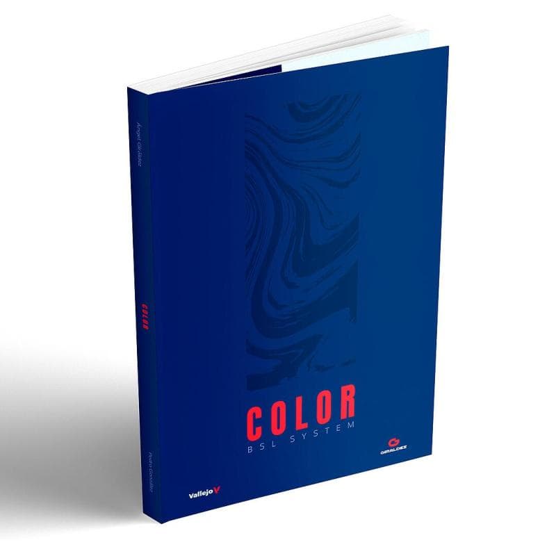 Color Bsl-System - Englisch - 164 Seiten