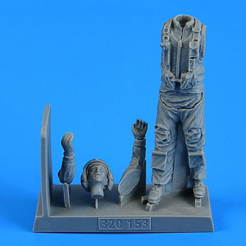 Us Navy Combat Pilot