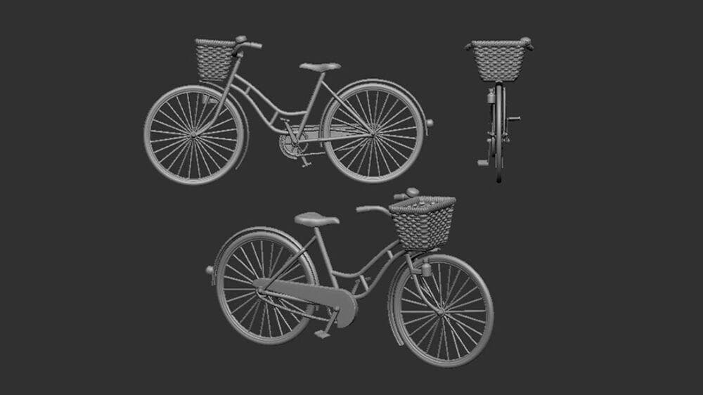 Womenâ´S Bicycle Classic - 3d Print