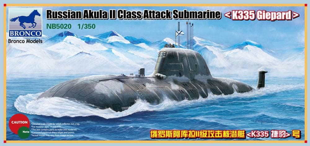 Russian Akula Ii Class Attack Submarine K335 Giepard
