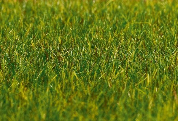 Premium Streufasern, Gras, Lang, Dunkelgrün, 30 G