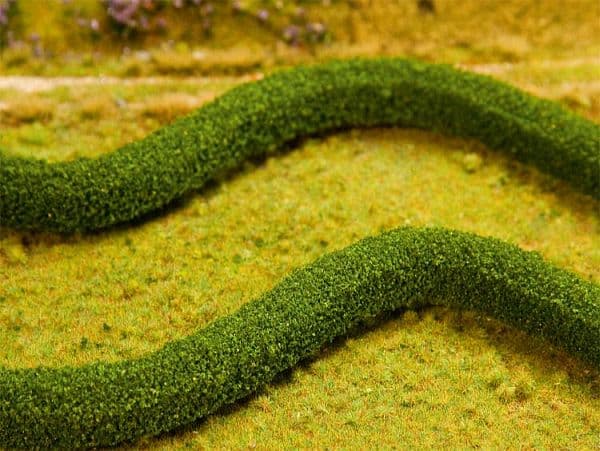 2 Premium Zierhecken/Hainbuchen