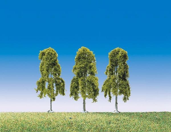 3 Hängebirken Top Serie