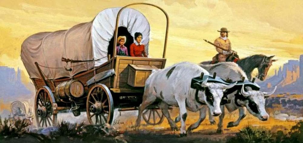 Planwagen