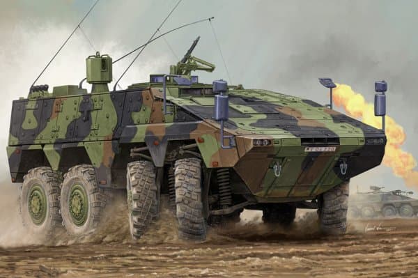 German Boxer Mrav