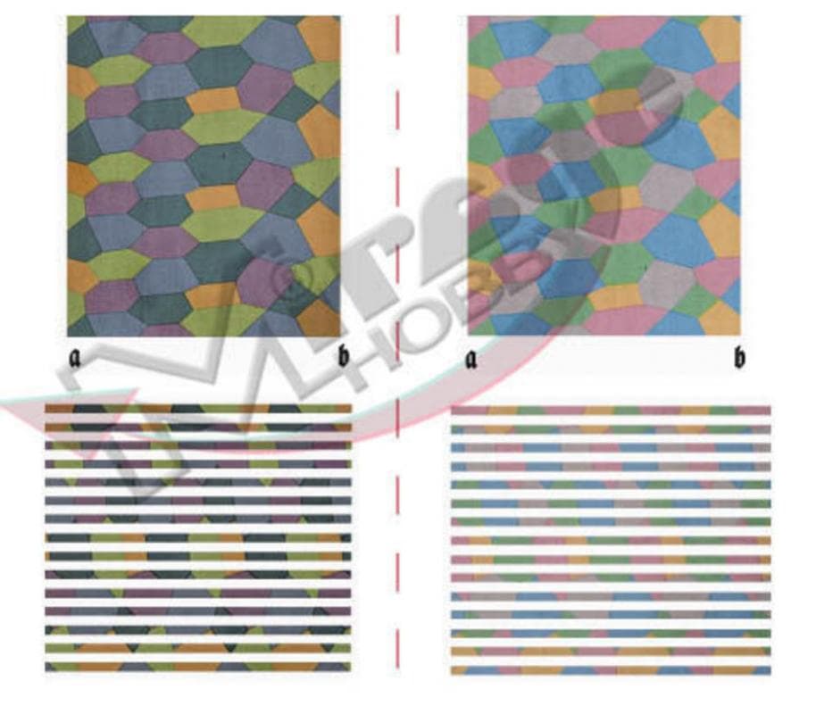Lozenge Day, Five Color, Dark & Light