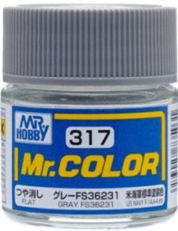 Mr. Color (10 Ml) Gray Fs36231