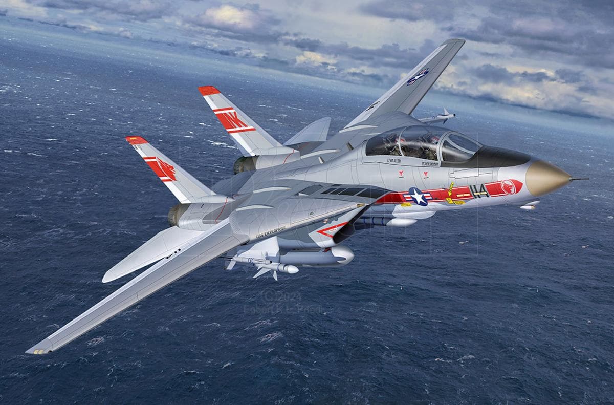 Model Set - Grumman F-14a Tomcat