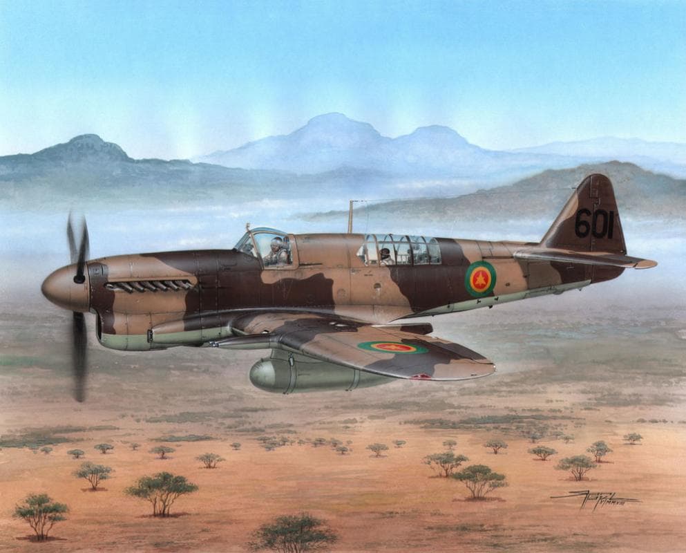 Fairey Firefly Fr Mk.I Foregin Post War