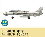 F-14b/D Tomcat
